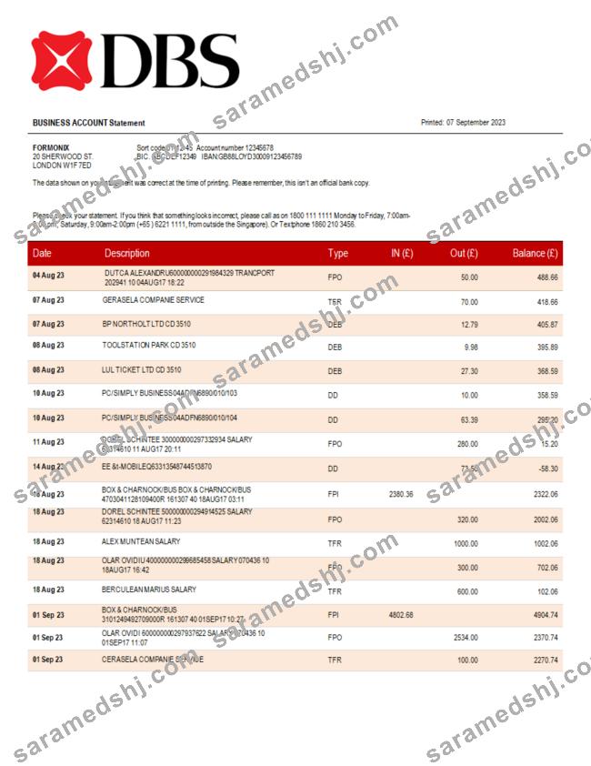 DBS Bank organization checking account statement Word and PDF template